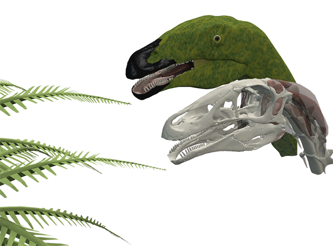 bite animation smaller60