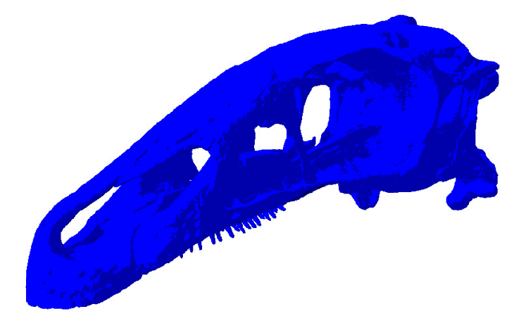 Erlikosaurus